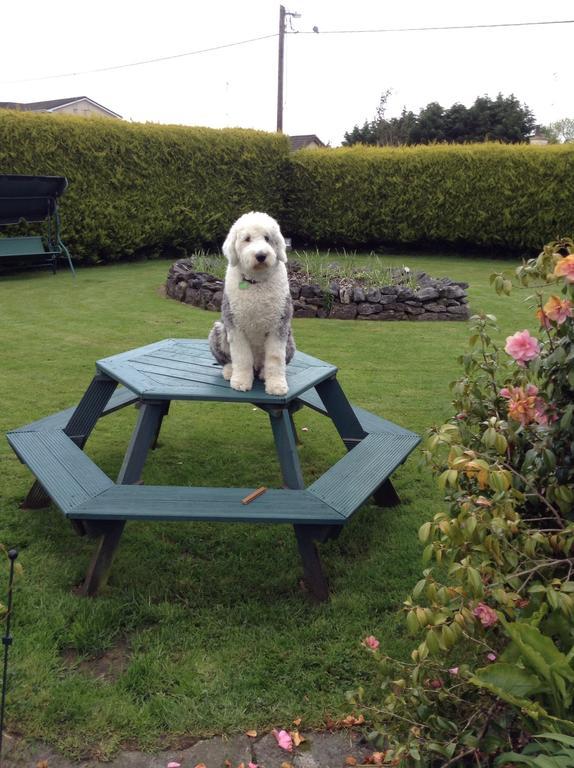 Riverwalk House B&B Oughterard Room photo