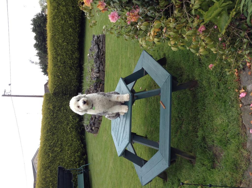 Riverwalk House B&B Oughterard Exterior photo