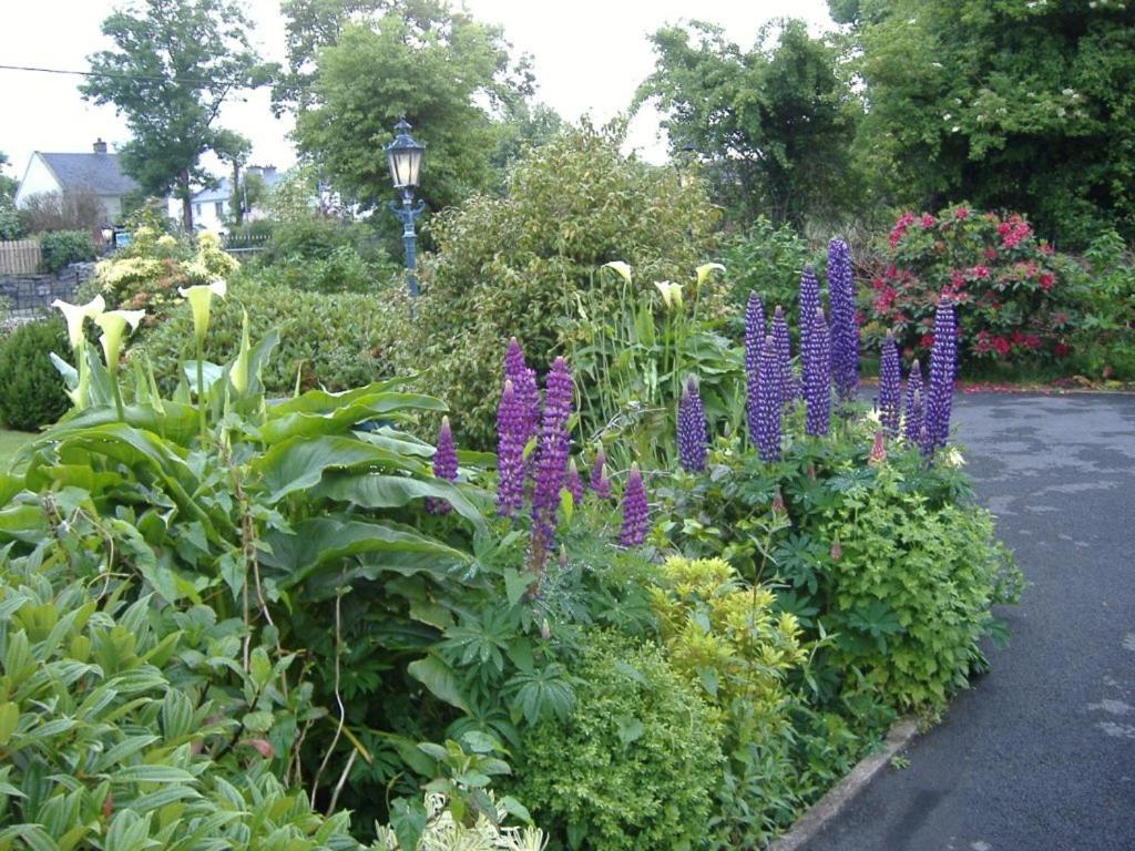 Riverwalk House B&B Oughterard Exterior photo