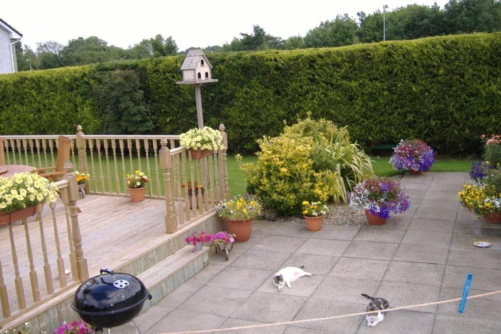 Riverwalk House B&B Oughterard Exterior photo