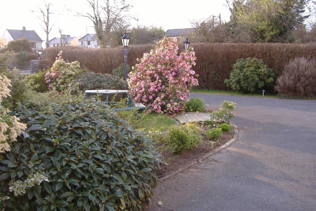 Riverwalk House B&B Oughterard Exterior photo
